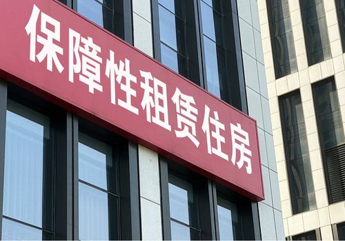 硬剛到底 00后畢業生面對租房陷阱的斗志與智慧
