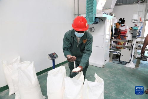 中國援建贊比亞玉米粉加工廠項(xiàng)目交付