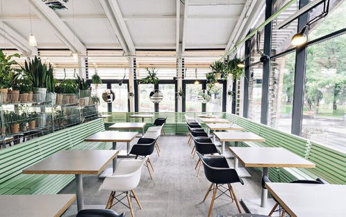 研究生創(chuàng)業(yè)開(kāi)餐廳,稱霸大學(xué)校園